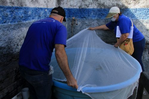 São Gonçalo tem índice aceitável de infestação do Aedes aegypti