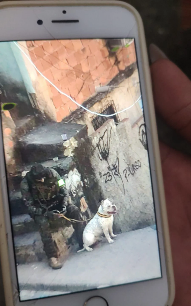 Moradora do Complexo do Alemão acusa PMs de terem levado seu cachorro durante operação na região