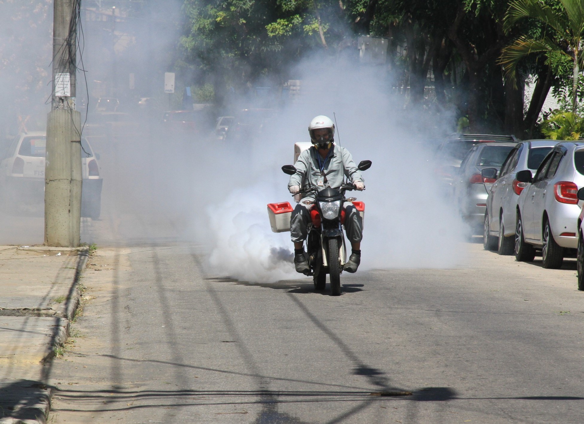 São Gonçalo combate proliferação do Aedes aegypti