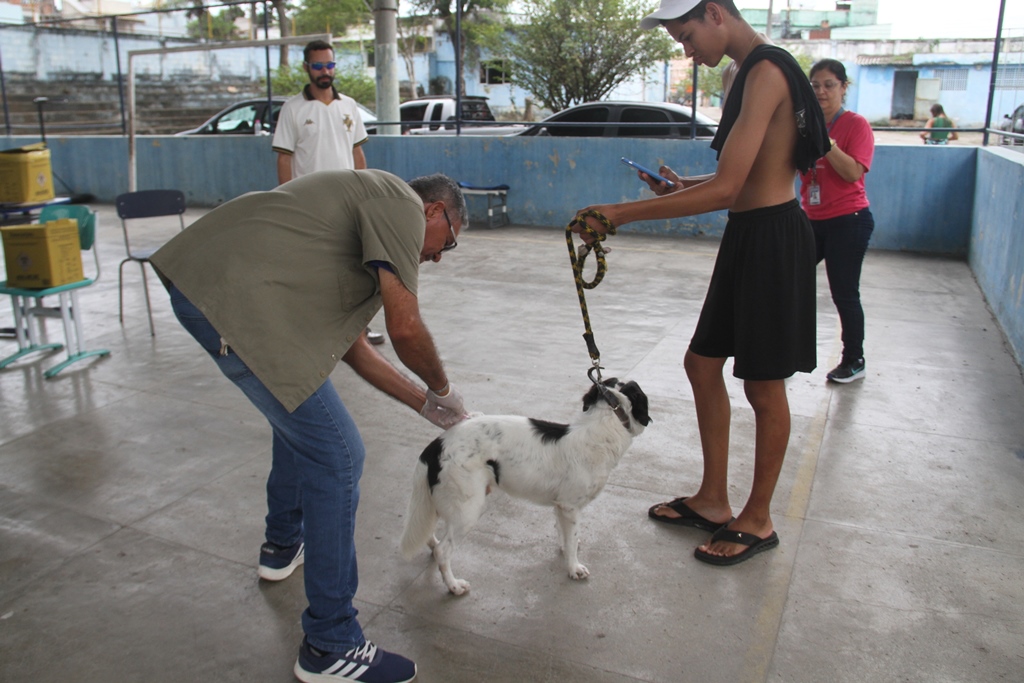 São Gonçalo vacina mais de 65 mil animais contra a raiva