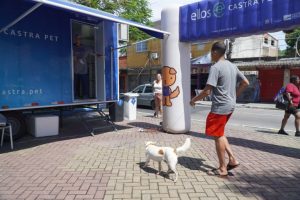 Animais são castrados gratuitamente no Bandeirantes